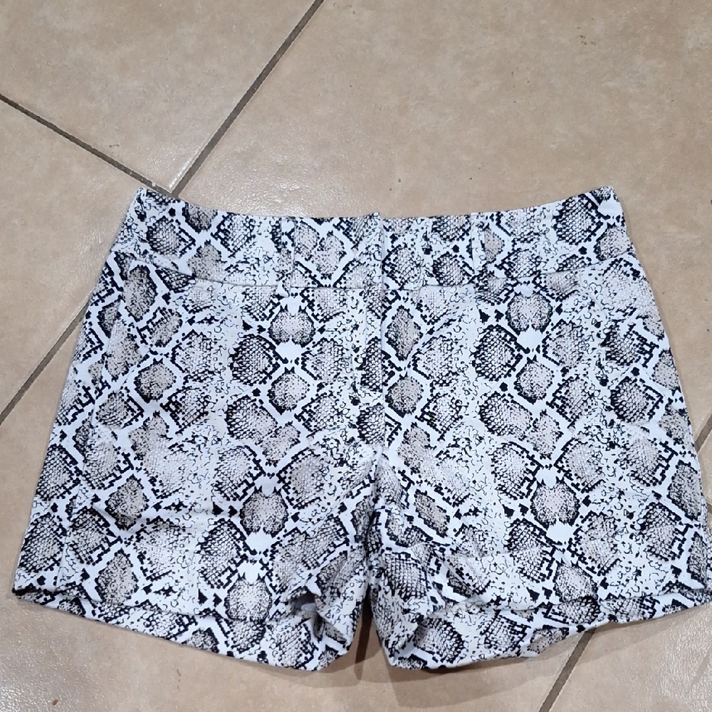 Snakeskin Print Women's Shorts
